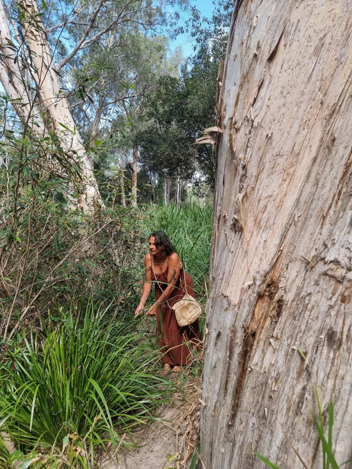Julie collecting natural fibres among creek-side grasses.