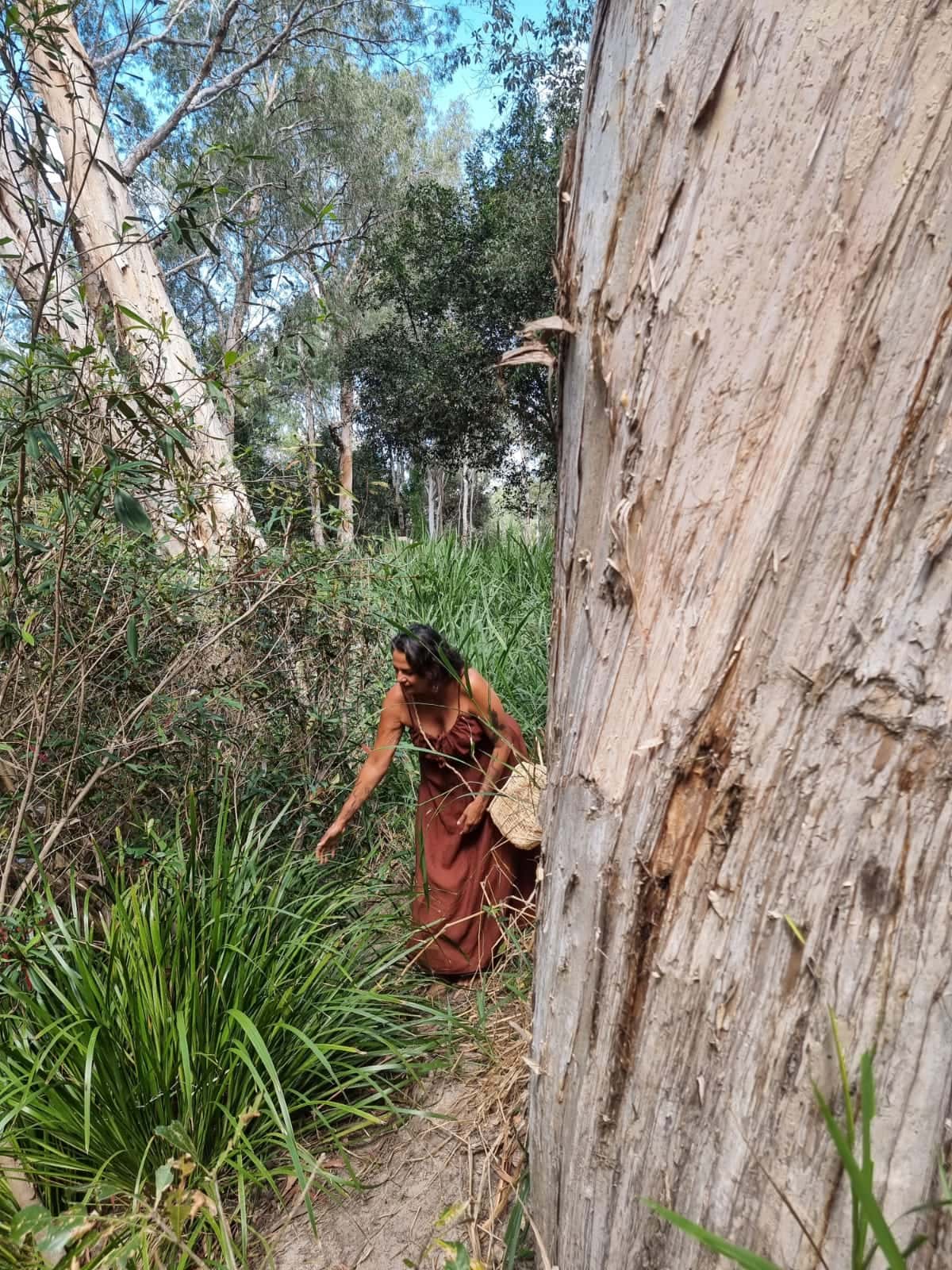 Julie gathering beside a paperbark tree on Country.
