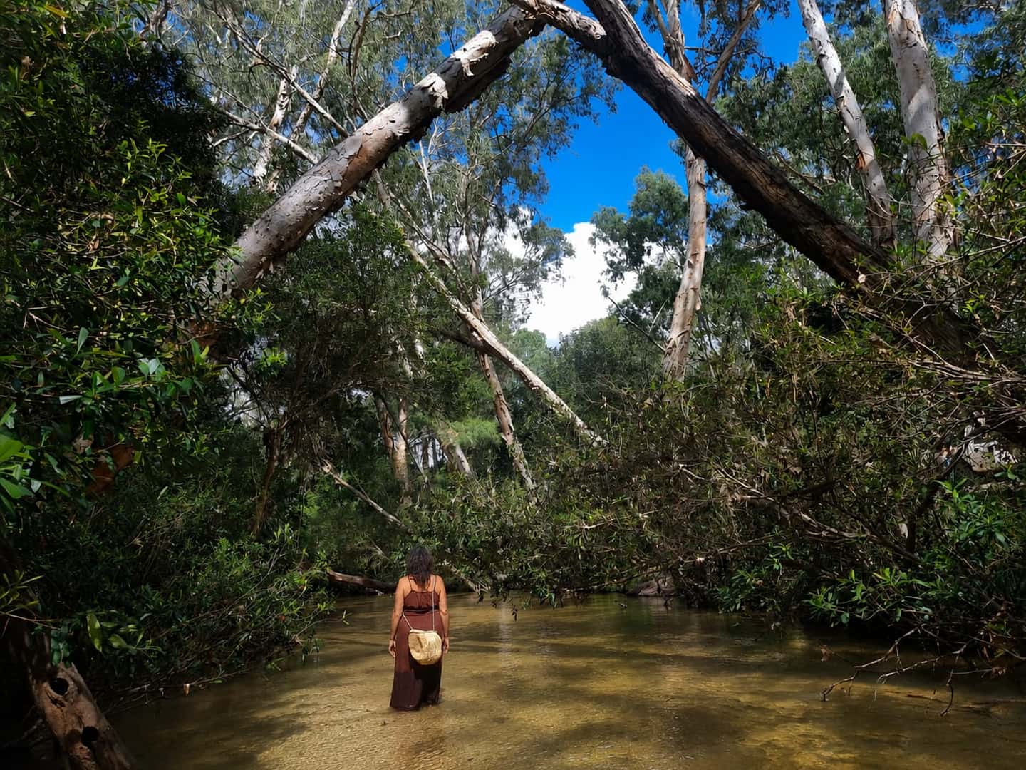 Julie standing in clear creek water beneath paperbark trees on Country, carrying a woven fibre bag.
